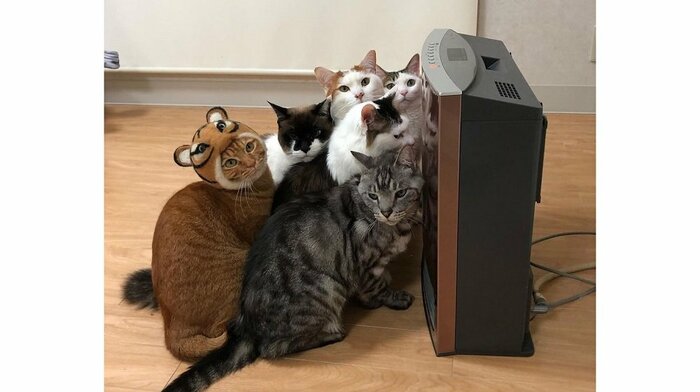 2022年も同じようなことが…