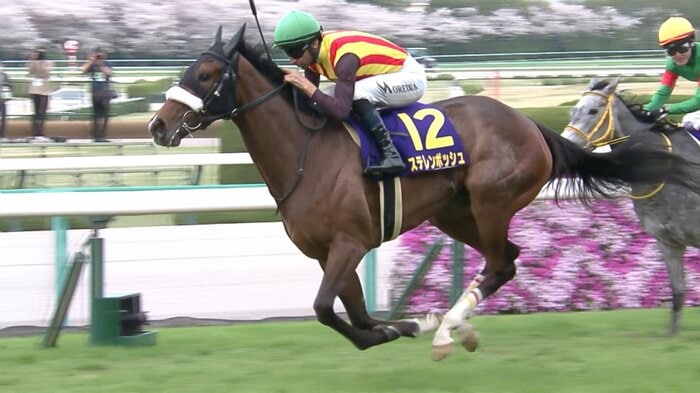 2024年の桜花賞を制したステレンボッシュ
