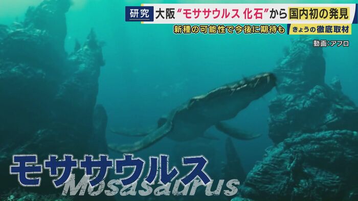 モササウルス