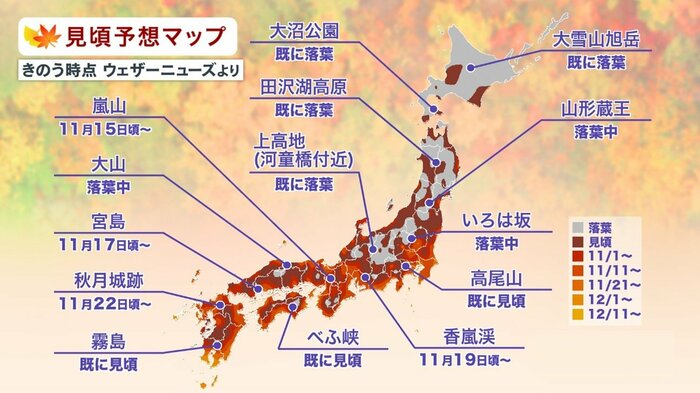 11月10日時点の見頃予想マップ