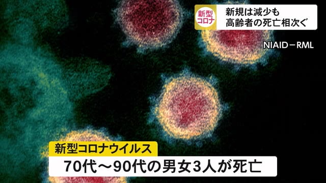 新型コロナ沖縄県で新たに3人の死亡を確認