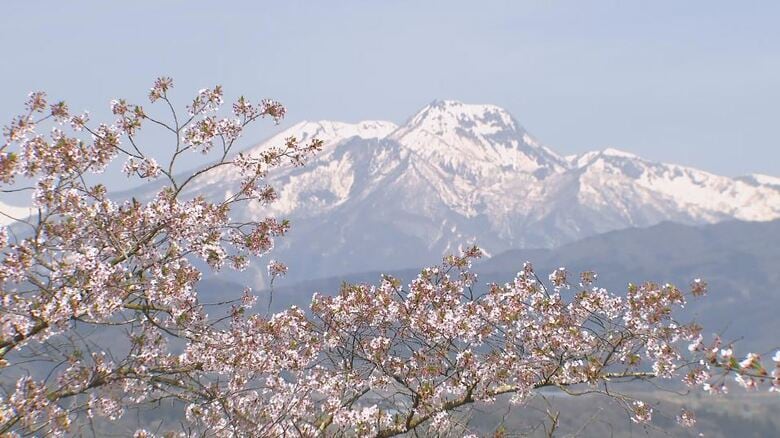 6月並みの陽気で「花見日和」　予想最高気温は長野・松本・飯田で25度　｜FNNプライムオンライン