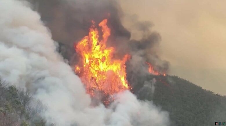 韓国でも史上最悪レベルの山火事続く　21日～27日で計74カ所で発生…乾燥と強風で鎮火のめど立たず　死者27人重軽傷32人｜FNNプライムオンライン