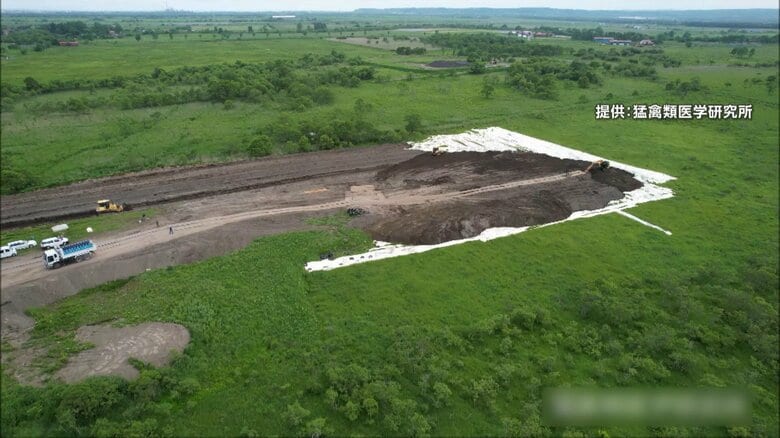 タンチョウなど希少生物の生息地・釧路湿原を脅かす「メガソーラー」　釧路市は9月に建設許可制など盛り込んだ条例を提出へ｜FNNプライムオンライン