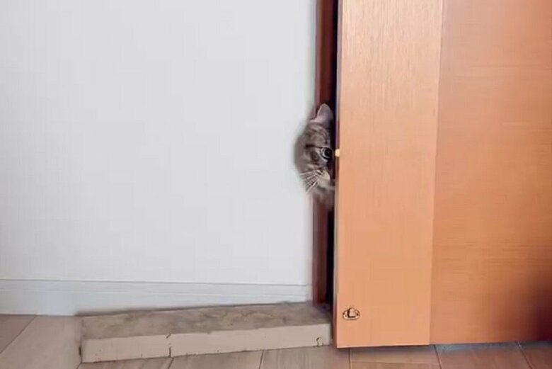 扉から顔をひょっこり!