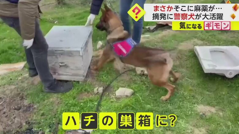 (画像:IHA)