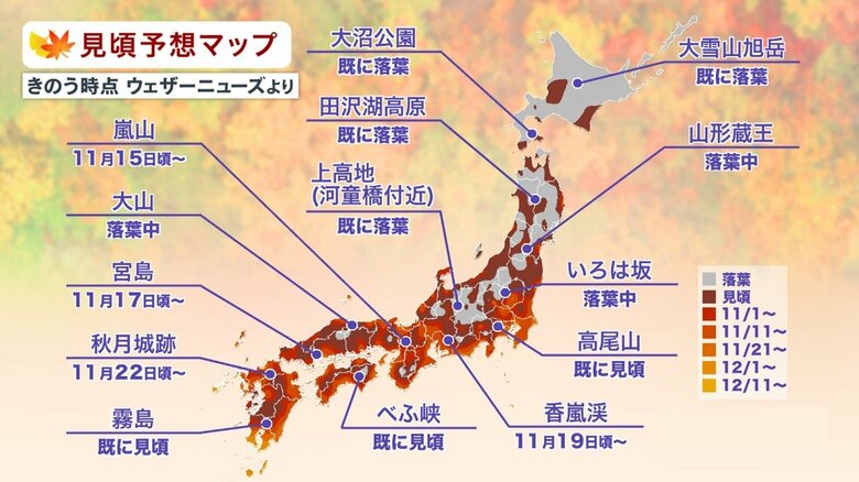 11月10日時点の見頃予想マップ
