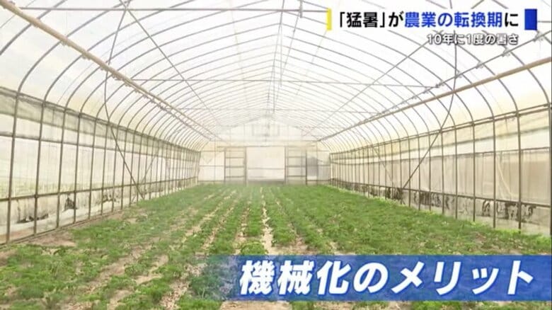 ハウス内の吹き出し口からミストが噴射