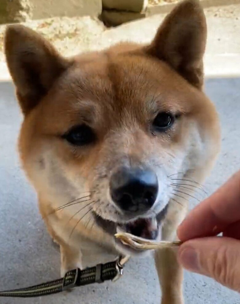 次の瞬間…我慢できなかった