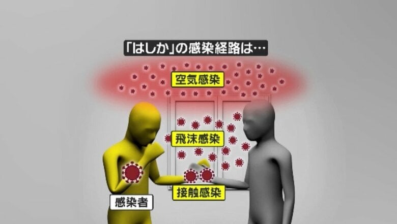 「はしか」の感染経路は…