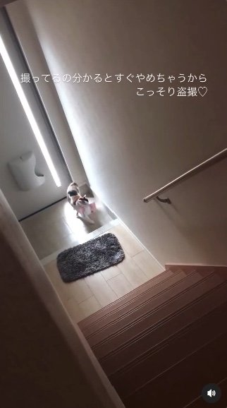 提供：kiyokoさん