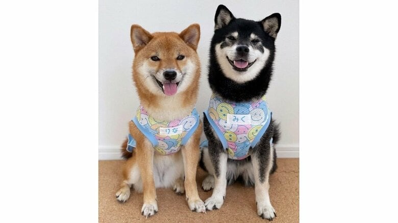 左：りなちゃん　右：みくちゃん