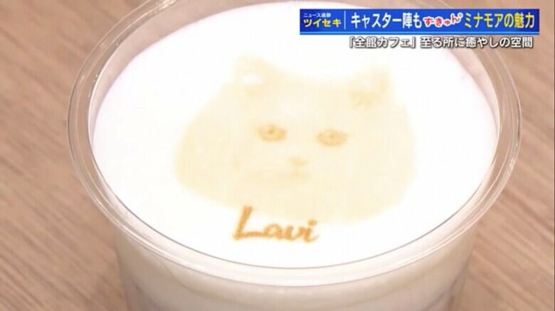 店で出迎えてくれたラヴィちゃんのラテアート