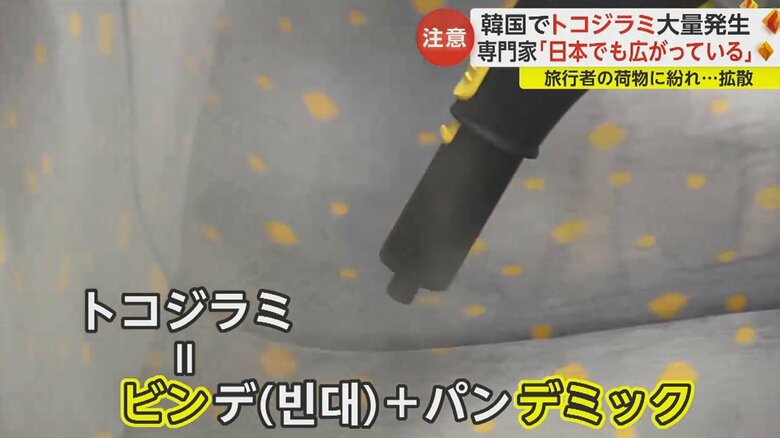 新たな造語が生まれるほど被害拡大