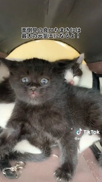 提供：エンとちぃさん