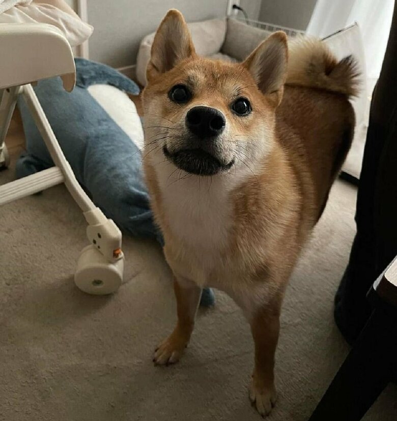 呼びましたか？