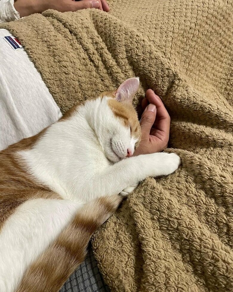 ぴったりくっついて熟睡