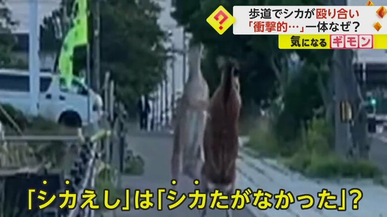 （北海道根室振興局）