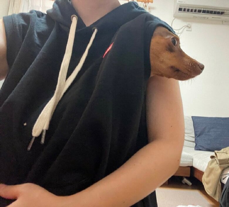 雷が怖くて避難したりんちゃん