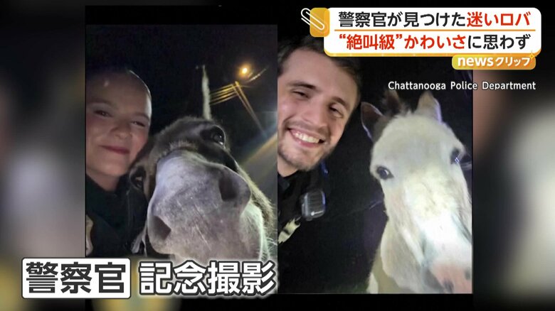 絶叫級のかわいさに、思わず撮影していた警察官