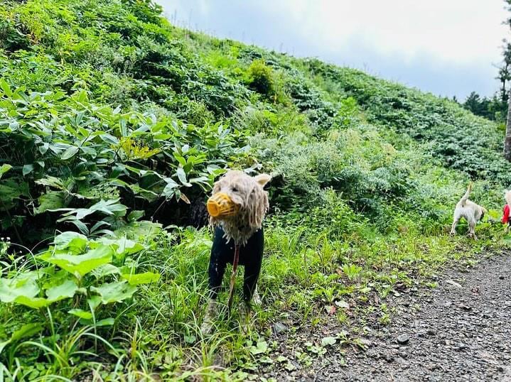 夏の泥遊び（提供：hair.axis）