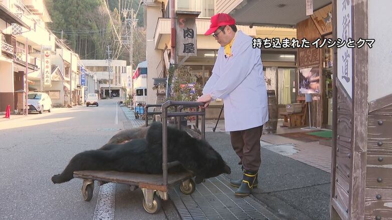 店に持ち込まれたイノシシとクマ
