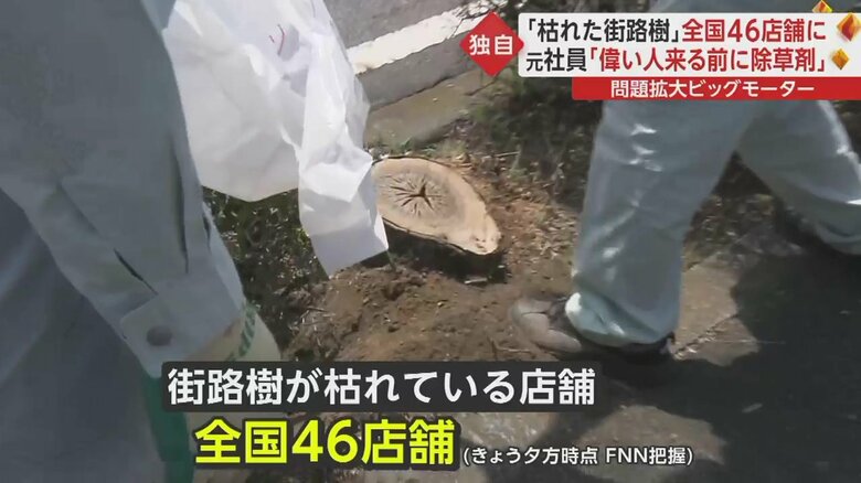 街路樹が枯れている店舗は全国46店舗