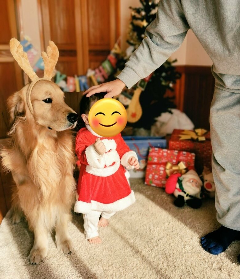 提供：ふぉるてさん