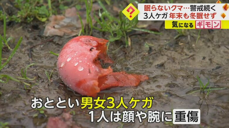 クマが食べたような柿が落ちている