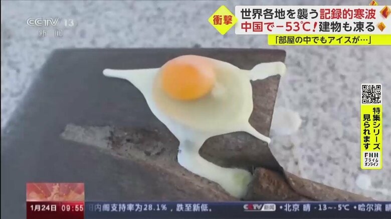 生卵は寒さで目玉焼きのように凍ってしまった