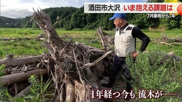 人の手では動かしようもない大きな流木・流された道路の一部などを田んぼに残されたまま