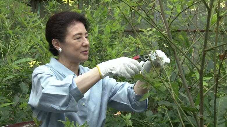 天蚕の繭の収穫をされる皇后さま