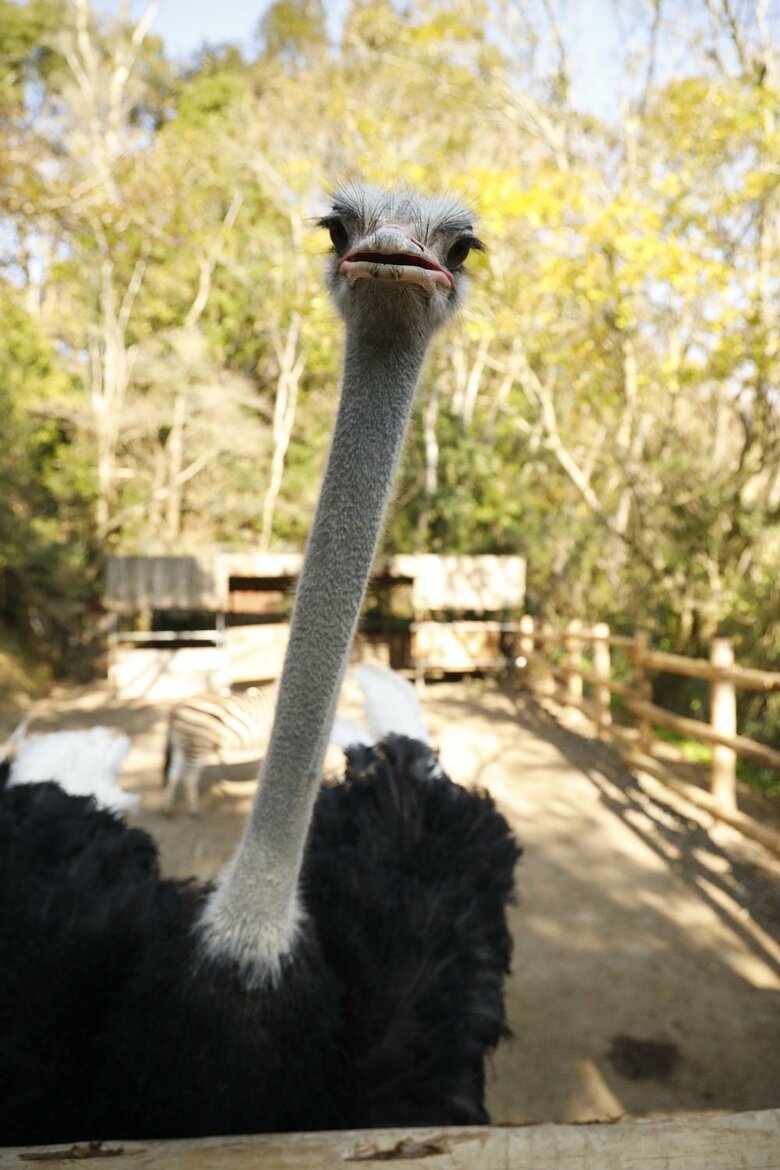 提供：長崎バイオパーク