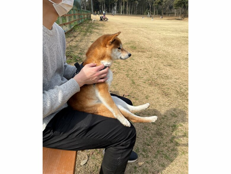 ドッグランで犬見知り発動中（提供：@isobe0912）