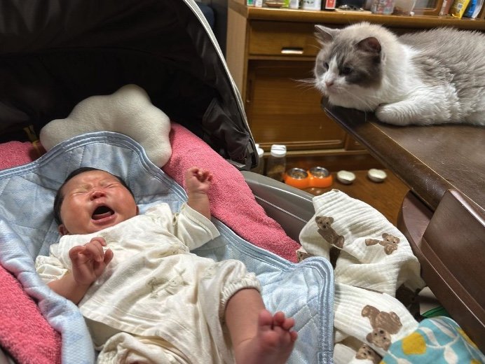 提供：エルモとみみりんさん