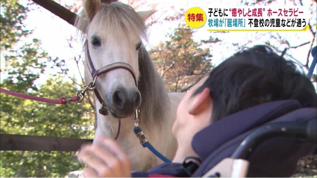 不登校の児童などが通う「ホースセラピー」 馬と触れ合って育つ&quot