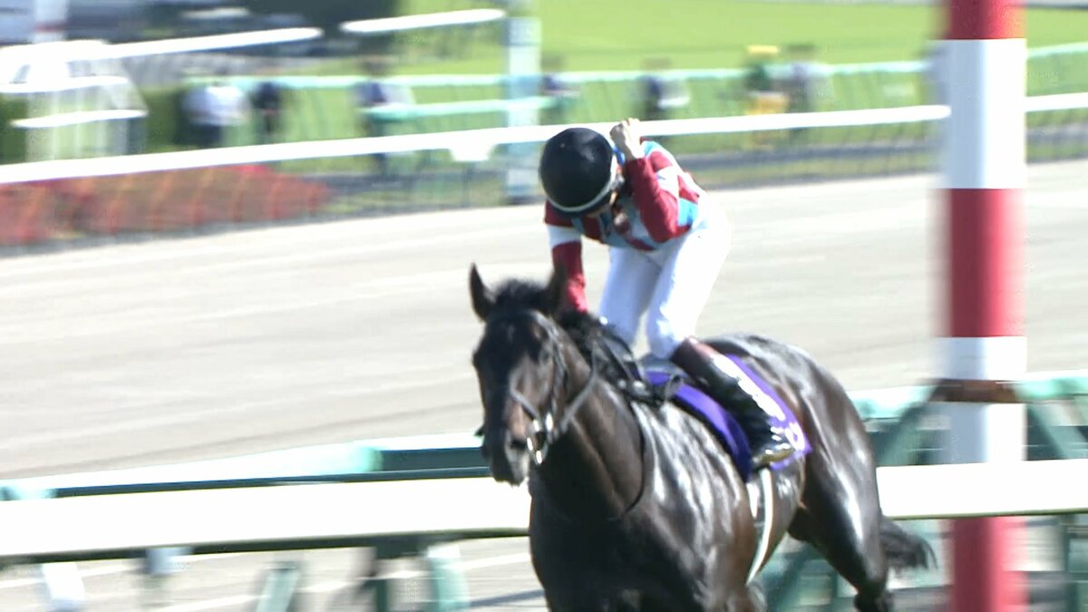 クラシック3冠初戦皐月賞・G1】G1馬の貫禄！ロブチェンが驚愕の 