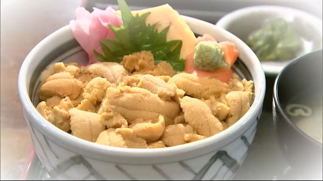 サケ ウニ大量死 釧路地方だけで被害 28億円 も 名物の うに丼 も出せない 漁師も悲鳴 サケ ウニ大量死 釧路地方だけで被害 28億円 も 名物の うに丼 も出せない 漁師も悲鳴