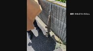 高級住宅街・成城に「小銃のようなもの」　路上に置かれた物騒な…