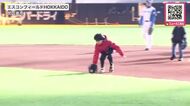 「めっちゃ楽しかった」「選手がプレーしているところでできてよかった」 内野天然芝で『初ノック』 気分はプロ!? ファン約100人が体験 北海道北広島市