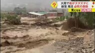 【サイクロン】ペルー集中豪雨で住宅倒壊相次ぐ 土砂崩れ現場からは泥まみれの子ども救出も 6人死亡3000人以上家を失う