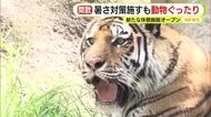 東京からの高校生 初めての海水浴に「海しょっぱい」　動物たちは暑さにぐったり　一方で台風15号が最接近へ　静岡県内も大雨の恐れ
