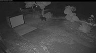 【ヒグマ速報】空き家に設置した防犯カメラに”クマの姿”_木古内町で1日3件の目撃情報<北海道>