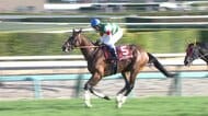【中山記念＆チューリップ賞・GⅡ】レーベンスティールがゴールドシップ以来の偉業達成！タイセイボーグは4度目の挑戦で重賞初制覇！