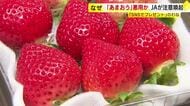 存在しない「栃木県産あまおう」名乗り…Xの“おいしい話”にご用心　個人情報だまし取るねらいか　福岡のブランドイチゴめぐり騒動