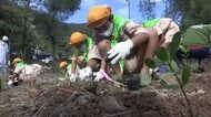 干拓事業で消えたマングローブの再生を 児童が植樹 鹿児島・宇検村