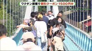 ワクチン接種で1500円クーポン “日本一”のつり橋で観光客に 静岡・三島市
