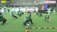 やんばる3村「いまかいまか」 世界自然遺産審議見守る