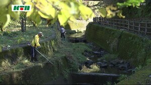 ホタルの舞う清流を ながさきホタルの会が河川清掃