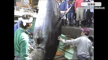 マグロの競り　築地史上最大496㎏の”巨大マグロ”は350万円で落札された　1986年乗組員6…